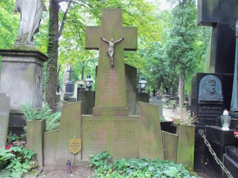 Zdjęcie grobu Janina Górska (2)