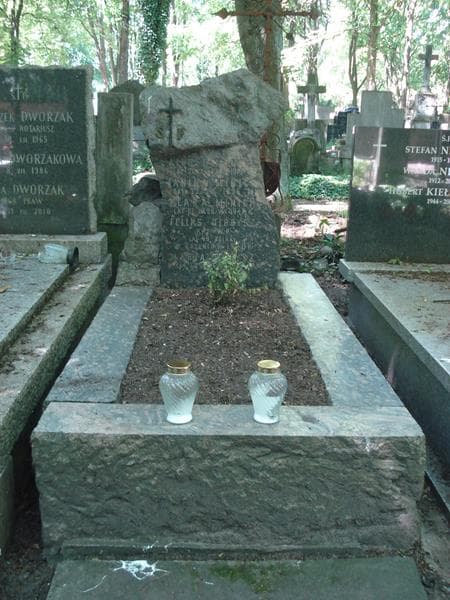 Zdjęcie grobu: Maria Olbrysz