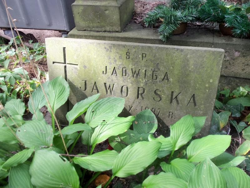 Zdjęcie grobu Jadwiga Jaworska (2)