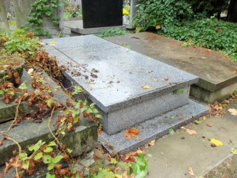 Zdjęcie grobu Elżbieta Halszka Dębska (2)