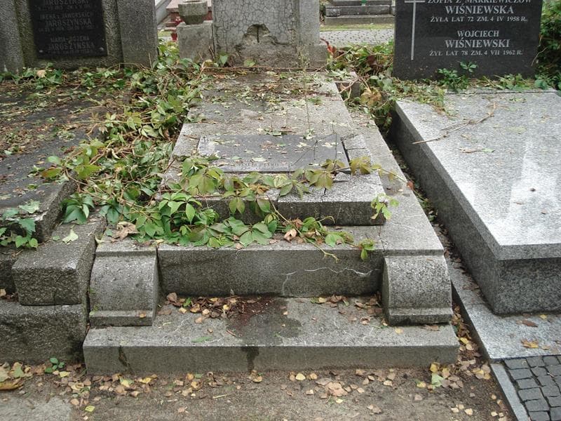 Zdjęcie grobu: Władysława Martynowicz