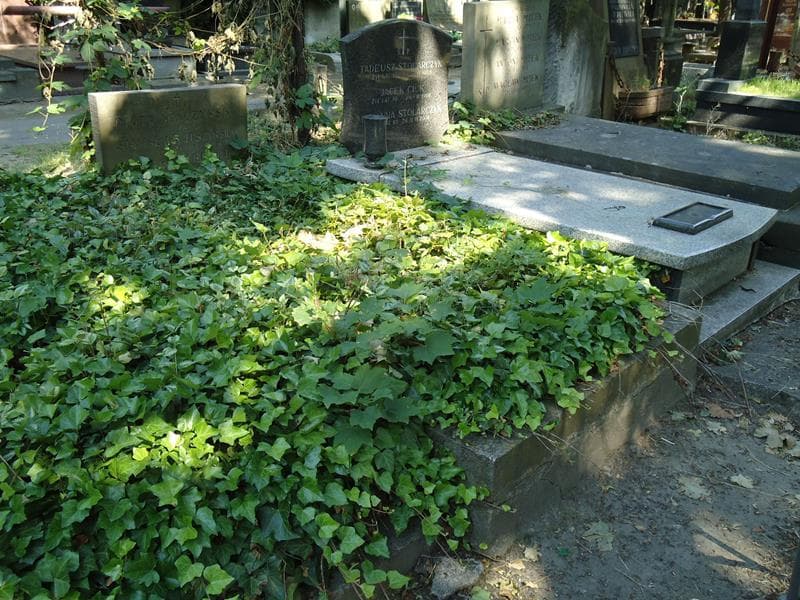 Zdjęcie grobu Stanisława Tuszyńska (1)