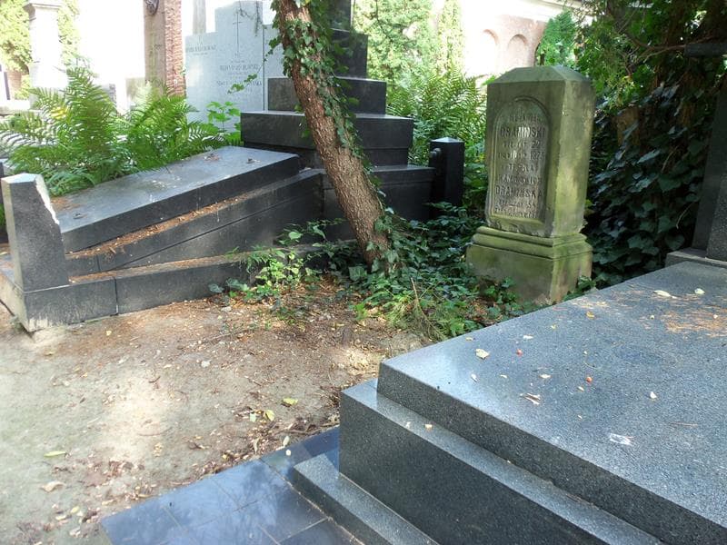 Zdjęcie grobu Alexander Dramiński (1)