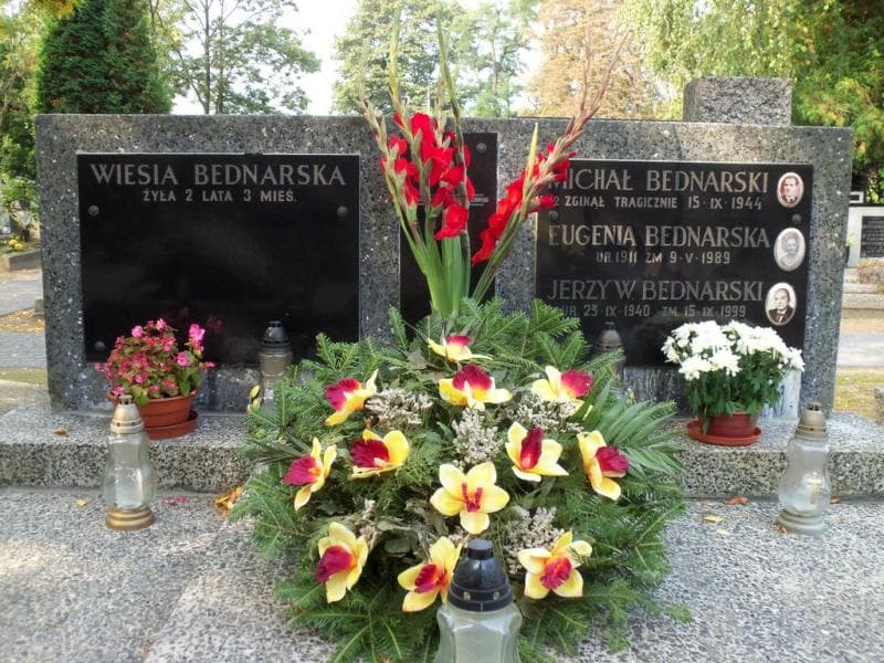 Zdjęcie grobu Michał Bednarski (2)