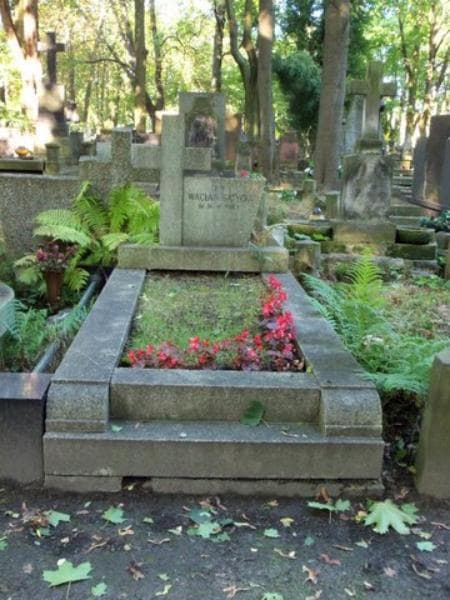 Zdjęcie grobu: Wacław Batycki