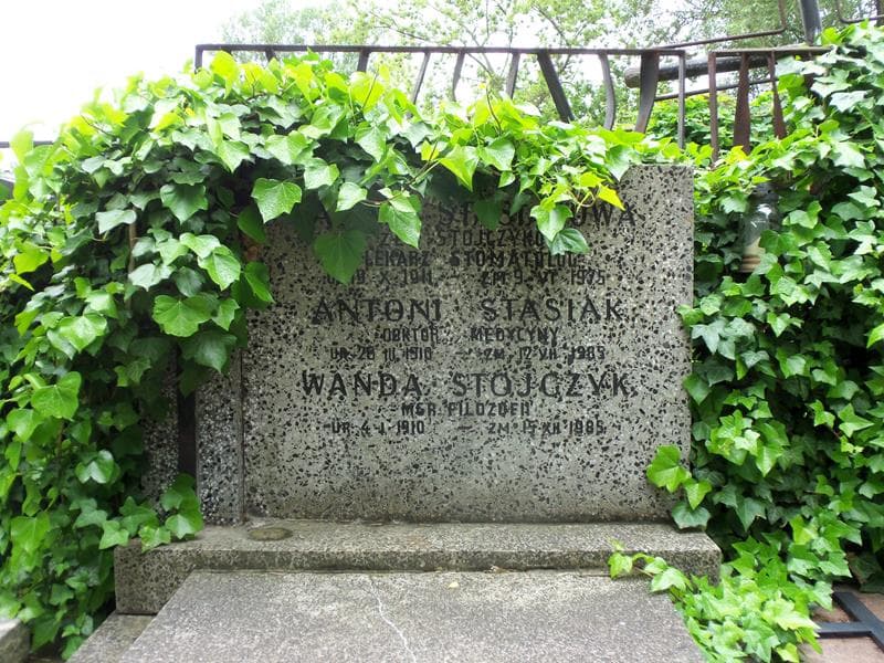 Zdjęcie grobu Wanda Stojczyk (2)