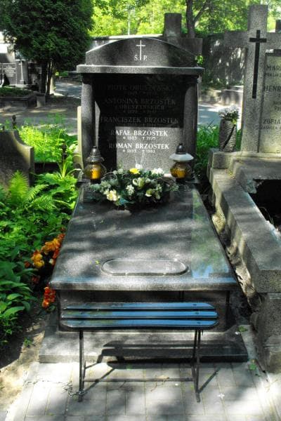 Zdjęcie grobu: Antonina Brzostek
