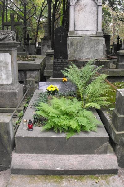 Zdjęcie grobu: Albina Kuleszyńska