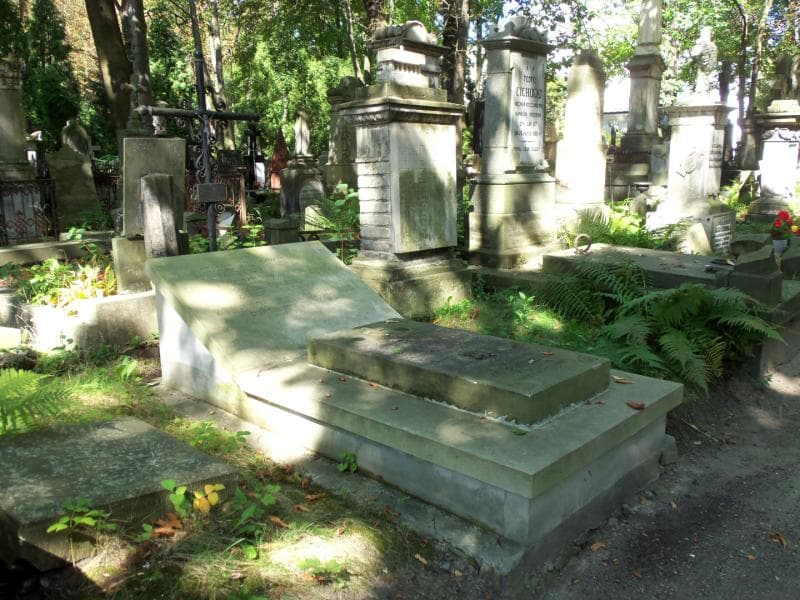 Zdjęcie grobu Janina Odrowąż-Straszewicz (2)