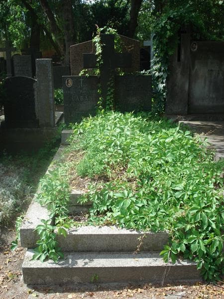 Zdjęcie grobu: Kamilla Caban