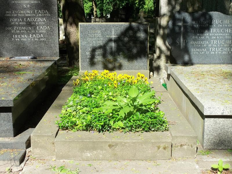 Zdjęcie grobu: Andrzej Seyfried