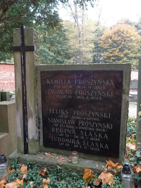 Zdjęcie grobu Zygmunt Prószyński (2)