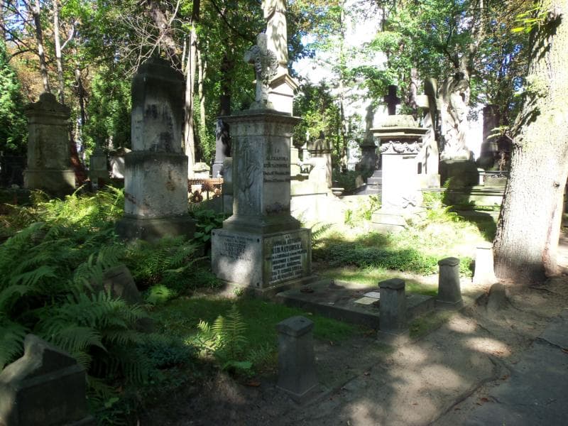 Zdjęcie grobu Hubert Stanisław Kurnatowski (1)