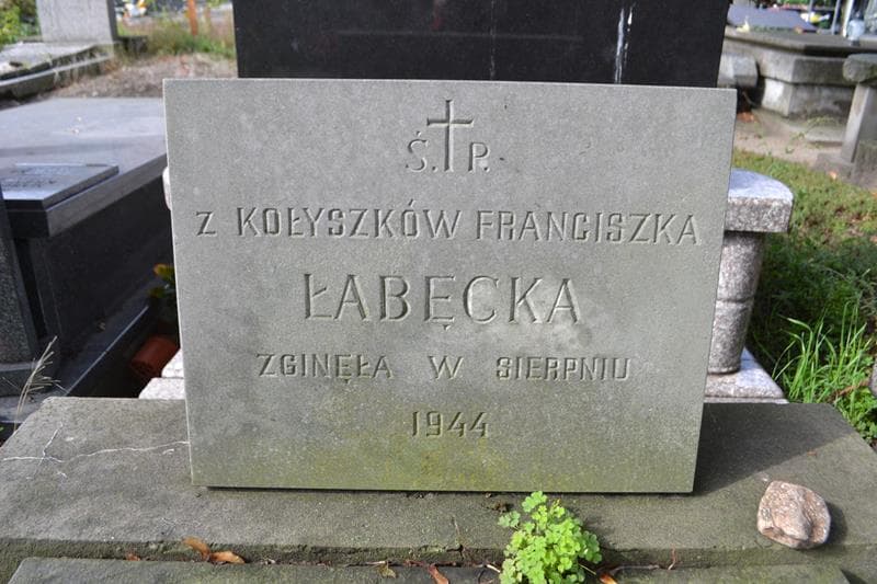 Zdjęcie grobu Zygmunt Lednicki (2)
