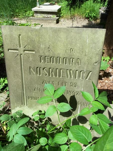 Zdjęcie grobu Teodora Noskiewicz (2)