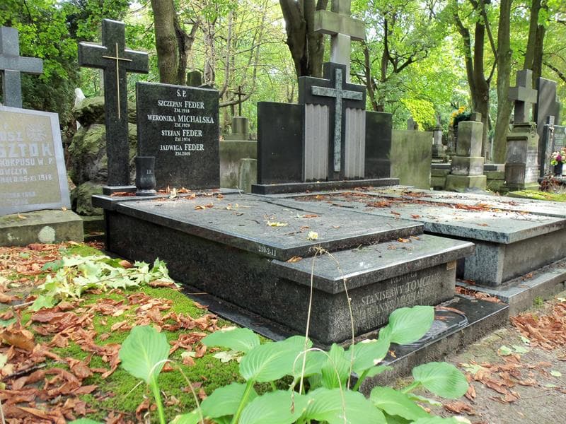 Zdjęcie grobu Stanisława Tomczak (1)