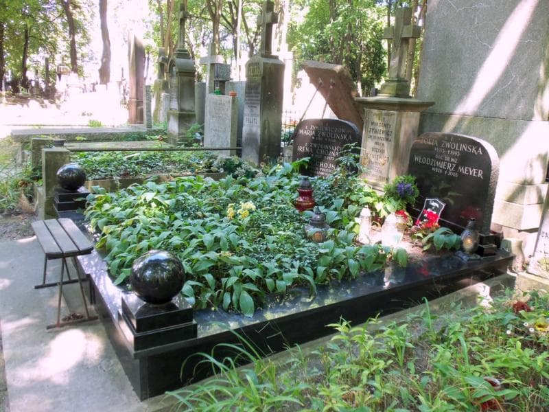 Zdjęcie grobu: Stanisława Żyniewicz