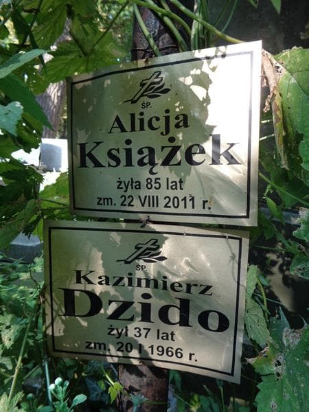 Zdjęcie grobu Alicja Książek (2)