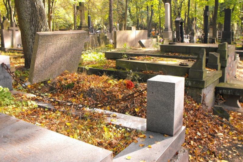 Zdjęcie grobu Józef Klejn (1)
