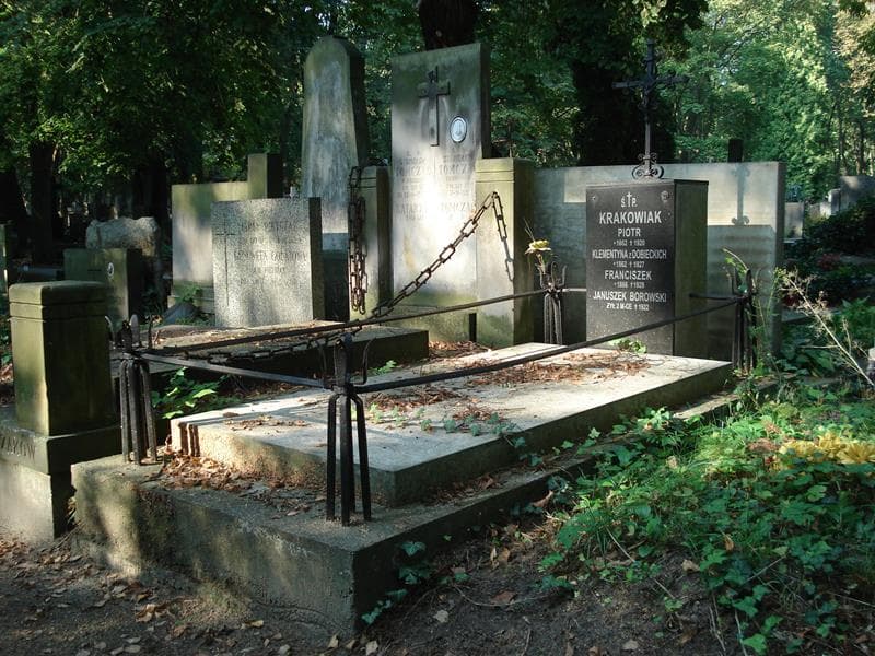 Zdjęcie grobu Januszek Borowski (1)