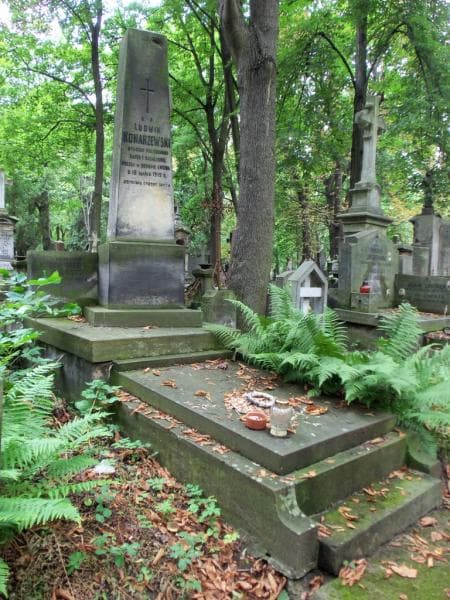 Zdjęcie grobu Wanda Dębska (1)
