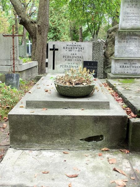 Zdjęcie grobu: Jan Perkowski