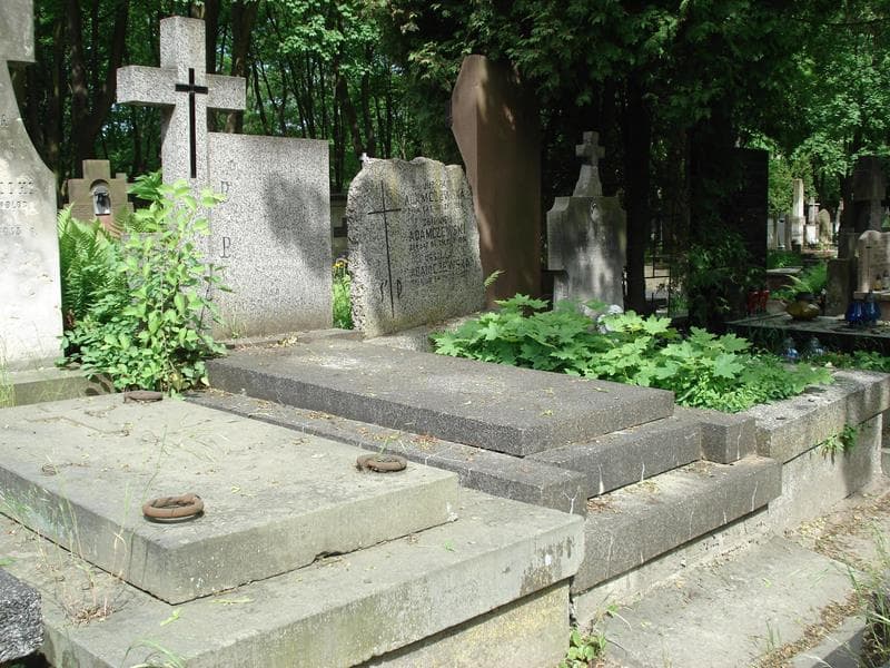 Zdjęcie grobu Zofia Dobrowolska (1)