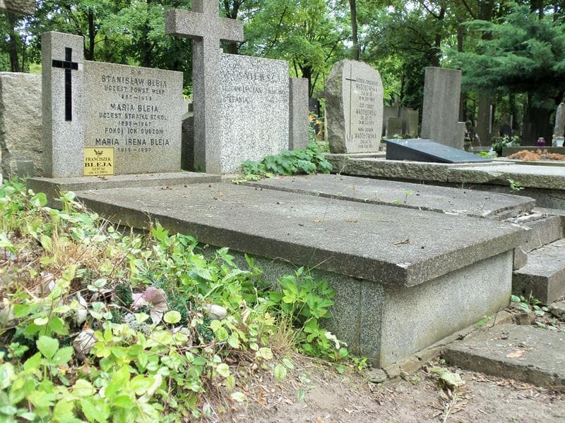 Zdjęcie grobu Franciszek Bleja (1)