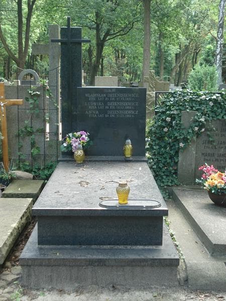 Zdjęcie grobu: Ludwika Dzienisiewicz