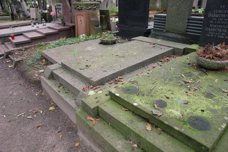 Zdjęcie grobu Zofia Woźniak (2)