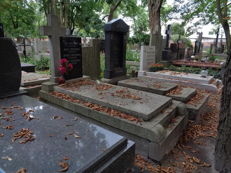 Zdjęcie grobu: Jan Przepiórka