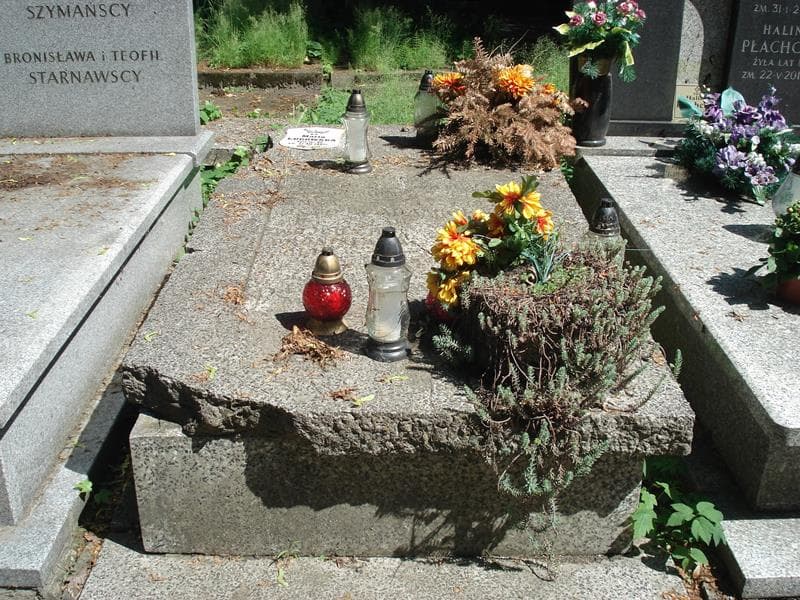 Zdjęcie grobu: Anna Hugo Ołdakowska
