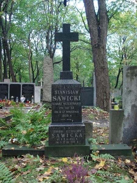 Zdjęcie grobu Stanisław Sawicki (2)