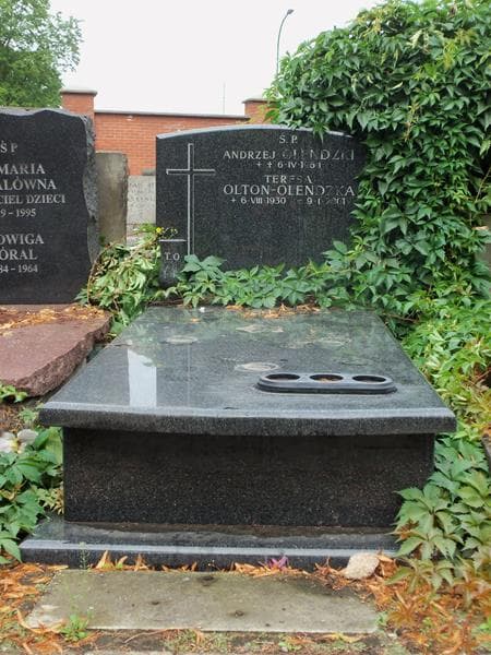Zdjęcie grobu: Teresa Olton-Olendzka