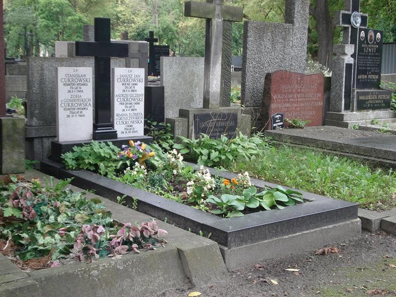 Zdjęcie grobu Stanisław Cukrowski (1)