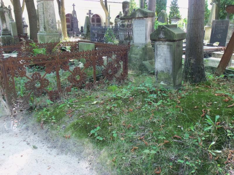 Zdjęcie grobu Woldemar Artiur Niestojemski (1)