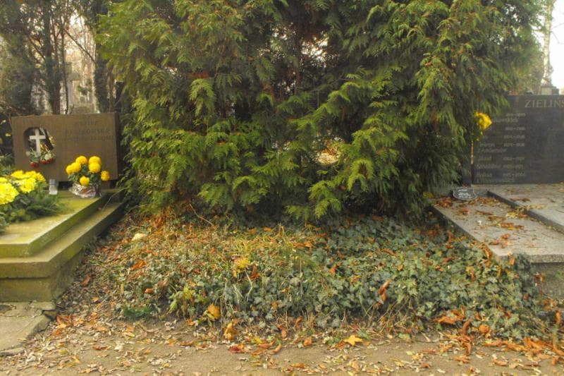Zdjęcie grobu: Pole Grobowe