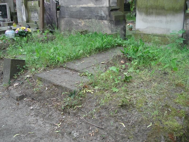 Zdjęcie grobu Kazimierz Tołłoczko (1)