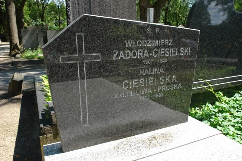 Zdjęcie grobu Halina Ciesielska (2)