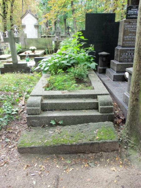 Zdjęcie grobu: Wincenty Tymieniecki