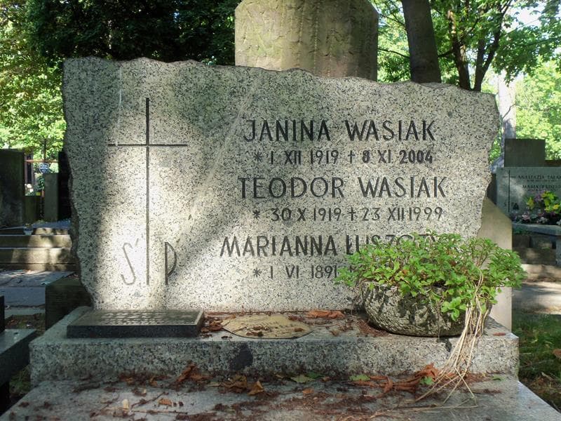 Zdjęcie grobu Teodor Wasiak (2)