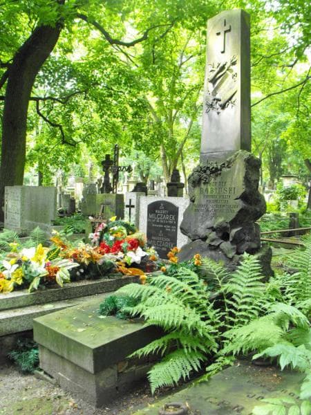 Zdjęcie grobu Henryk Bobiński (1)