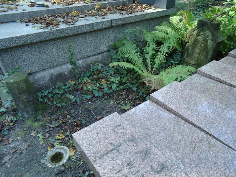 Zdjęcie grobu Antonina Plebanek (1)