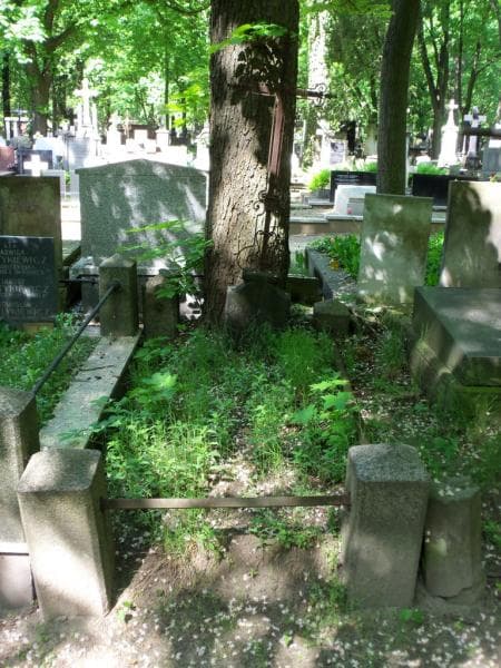 Zdjęcie grobu: Pałczyńscy