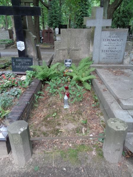 Zdjęcie grobu Józef Ciecierski (1)