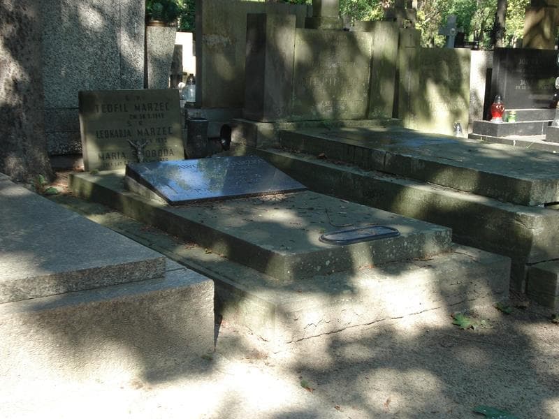 Zdjęcie grobu Teofil Marzec (1)