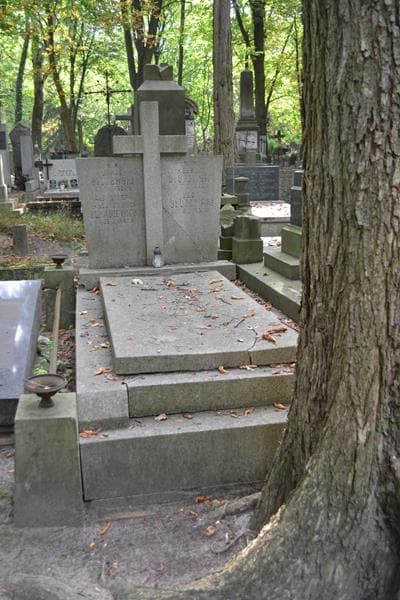 Zdjęcie grobu Leon Służewski (1)