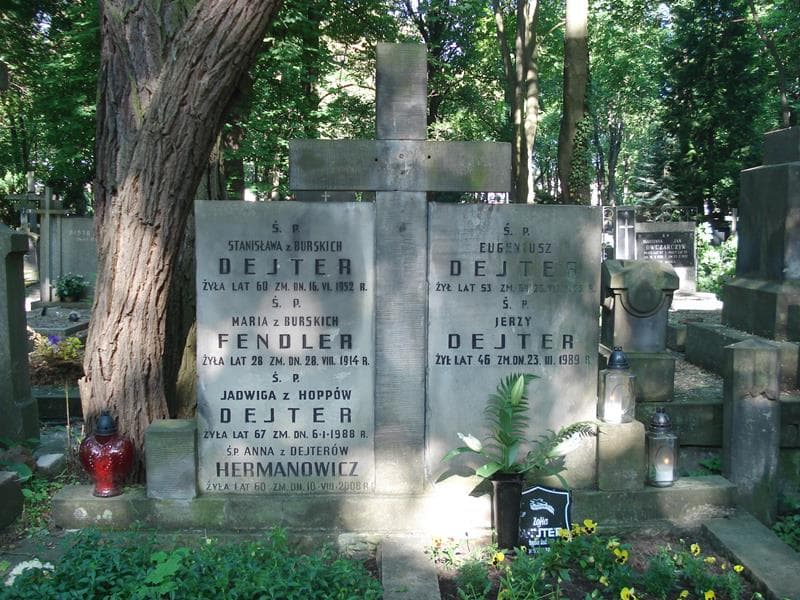 Zdjęcie grobu Anna Hermanowicz (1)