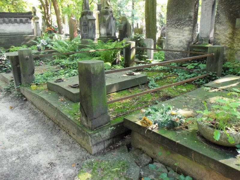 Zdjęcie grobu Apolinary Maliszewski (1)