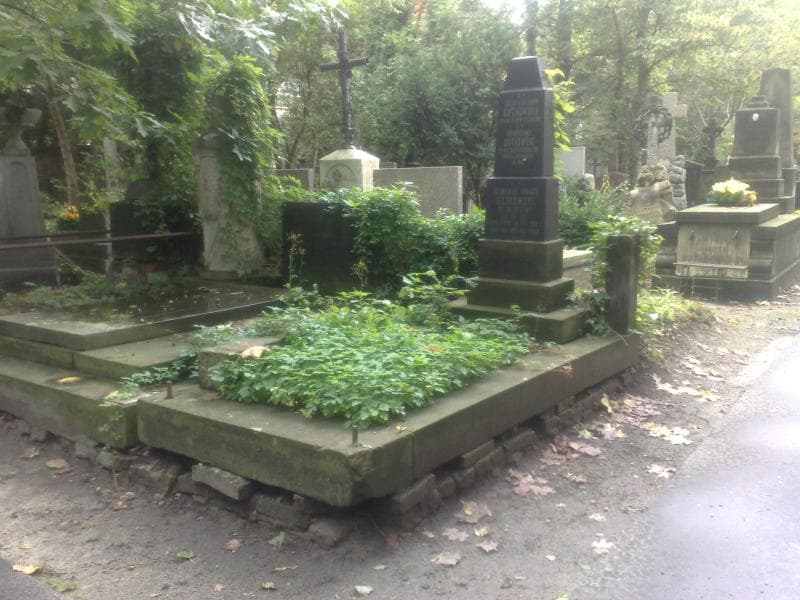 Zdjęcie grobu Romuald Ignacy Gutkowski (1)